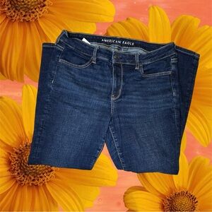 American Eagle jeggings size 14 short